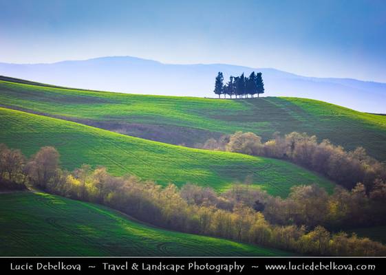 Italy - Tuscany - Val d'Orcia - UNESCO World Heritage Site - Typical view of the rolling hills with cypress trees