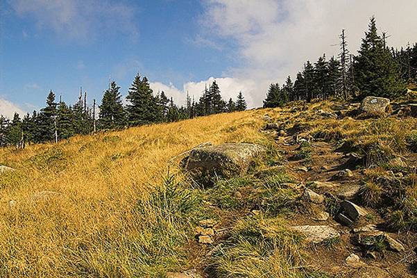 Krkonose Ridge Trail