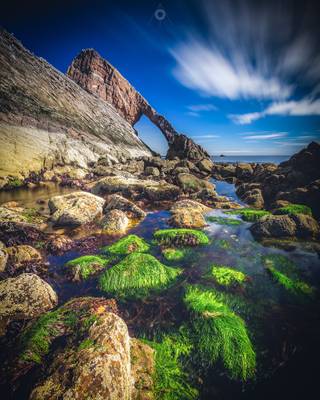 Mermaid Halloween Wigs