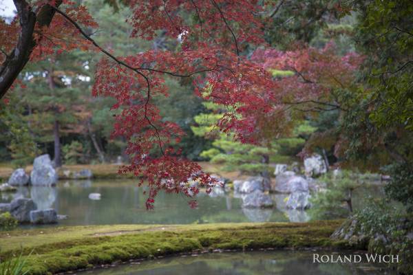 Kyoto Autumn - Kinkaku-ji Temple Park