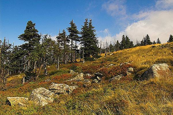 Slopes of Maly Sisak