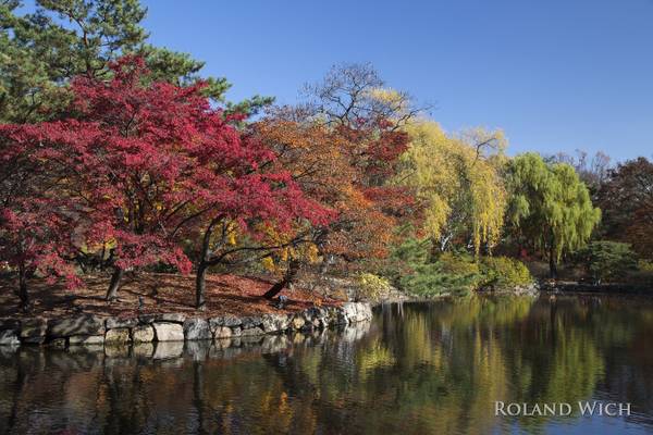 Seoul Autumn