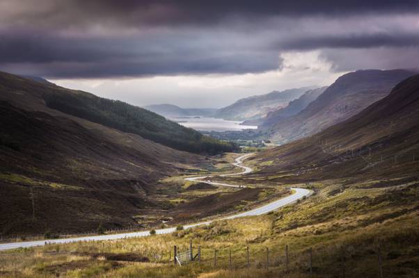 Glen Docherty