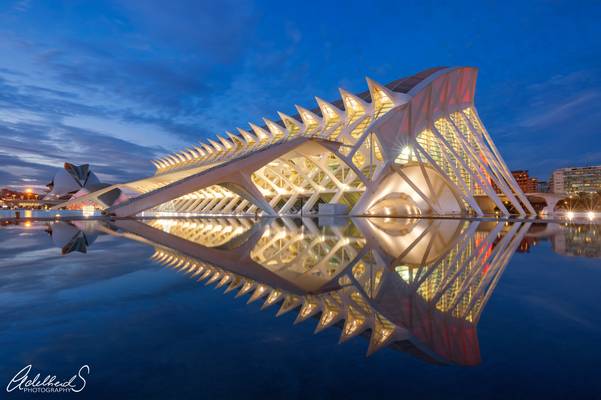 Calatrava's Fish, Valencia (explored)