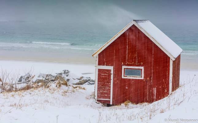 Flakstad Red Shack on the Beach