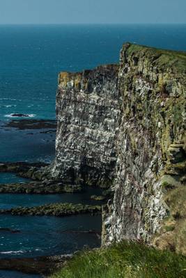Iceland 2015 Latrabjarg cliffs