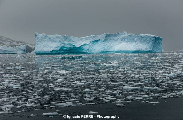 Blue iceberg & ice