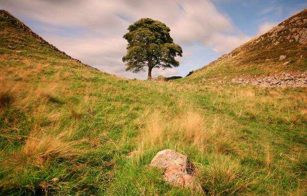 Sycamore Gap