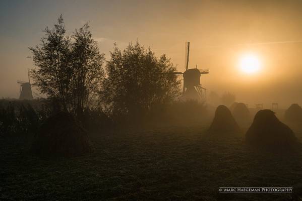Foggy start at the Kinderdijk