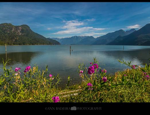 Pitt Lake near Vancouver, BC, Canada