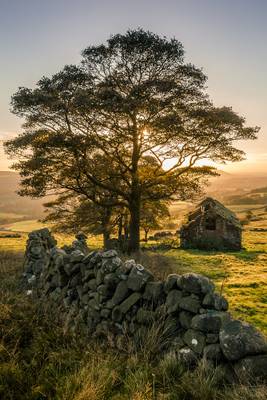 Roach End Field Barn
