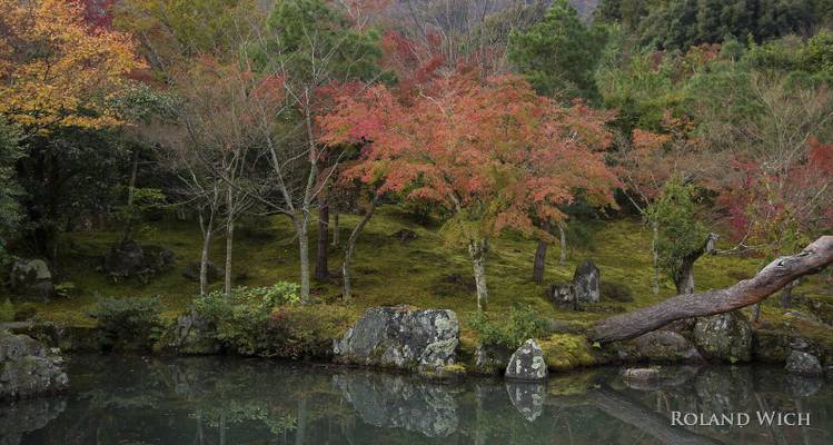 Kyoto Autumn - Tenryū-ji