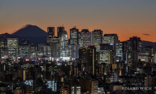 Shinjuku Skyline and Mount Fuji