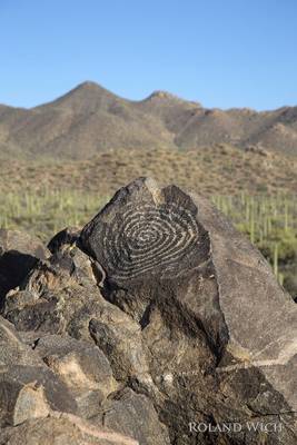 Saguaro Petroglyphs