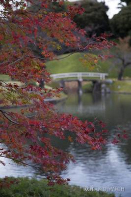 Tokyo Autumn