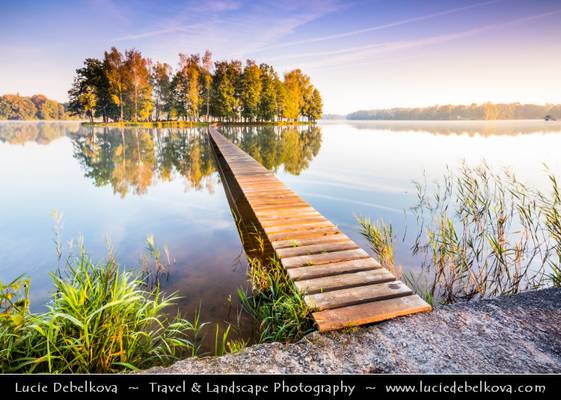 Czech Republic - South Bohemia - Třeboňsko - Lonely island in the middle of pond during misty Sunrise