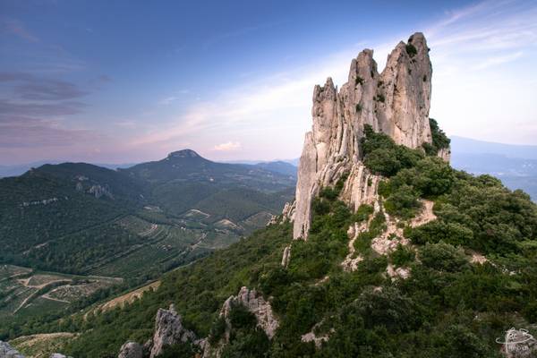 Dentelles