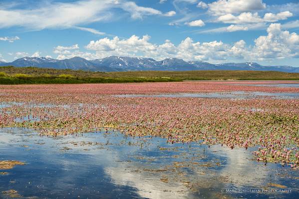 The red lakes of Colorado (in explore 20-10-2016)