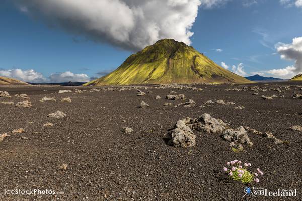 Maelifell Mountain in the middle of a lava and sand desert – Highlands of Iceland