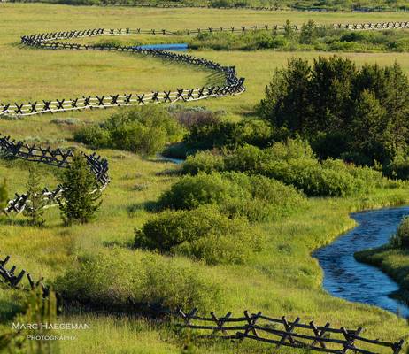 Creeks and fences