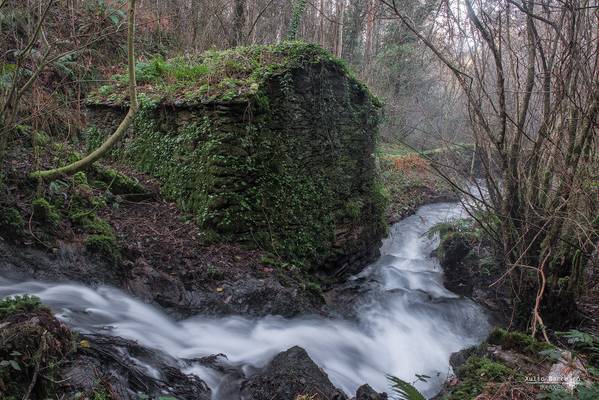 Muíño no Río Aceiteiro