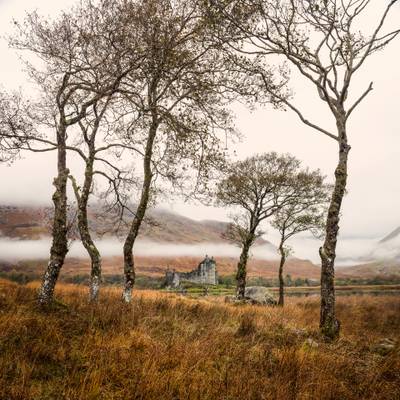 Kilchurn Castle Between The Trees