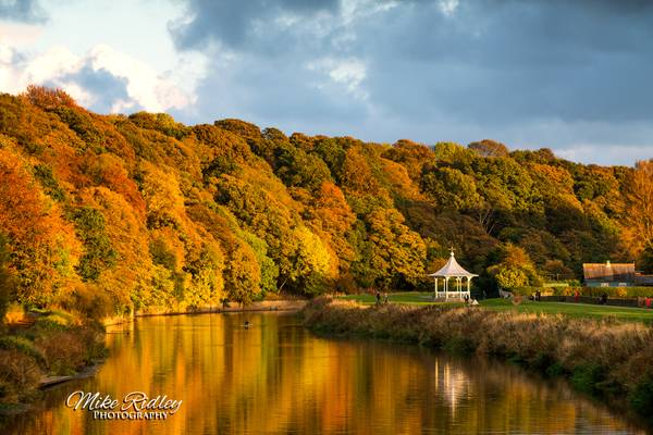 The Bandstand