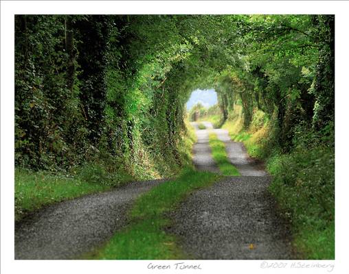 Green Tunnel or 'The Road to Hobbiton'
