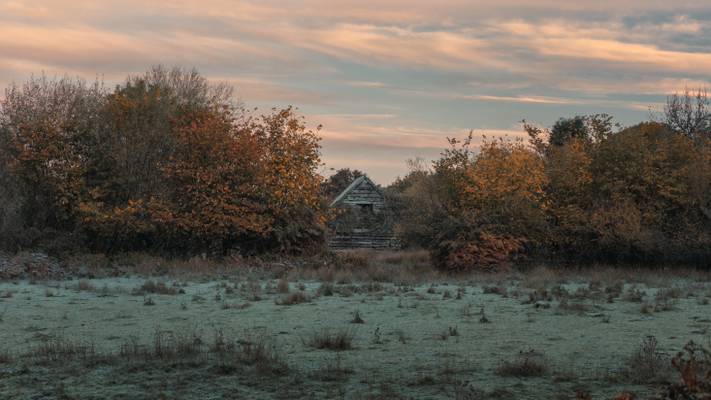 A Touch of Frost