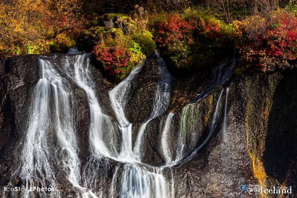 Hraunfossar. The Colors of Autumn