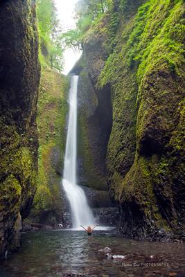 *** Oneonta Gorge ***