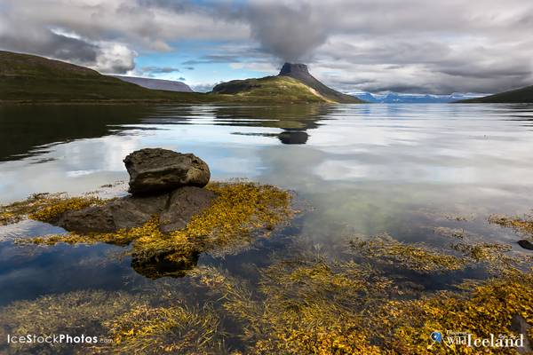 Discover Wild Iceland - Hestfjjörður bay and Hestur mountain