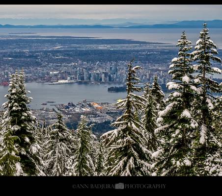 Wintery scene in Vancouver, Canada