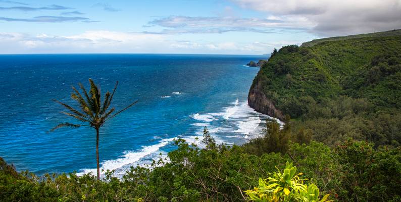 "Pololu Valley Lookout - Kohala" * Hawaii