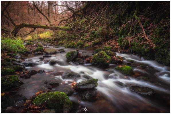 A River Somewhere