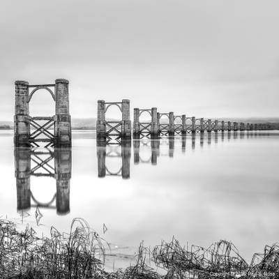 Alloa-Throsk Rail Bridge