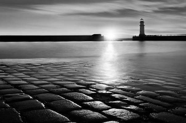 Flash of Sunshine BW