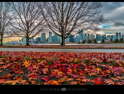 Late fall in Vancouver, BC, Canada