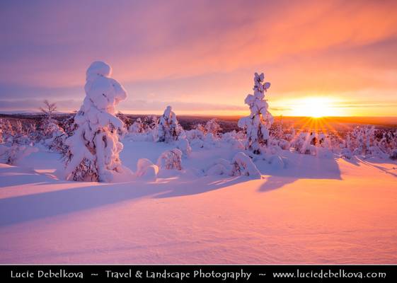 Finland - Lapland - Frozen North of Arctic Circle during amazing sunset