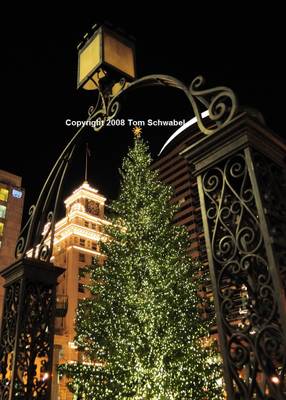 Pioneer Square at Christmas