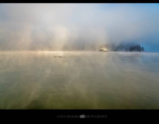 Pitt Lake Fog