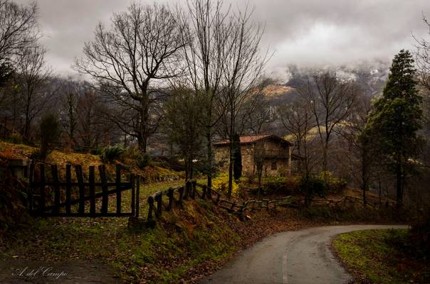 Caminando (3/53)