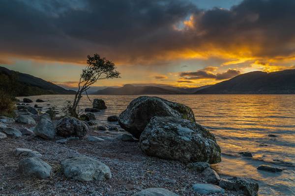 Loch Ness Loner ..