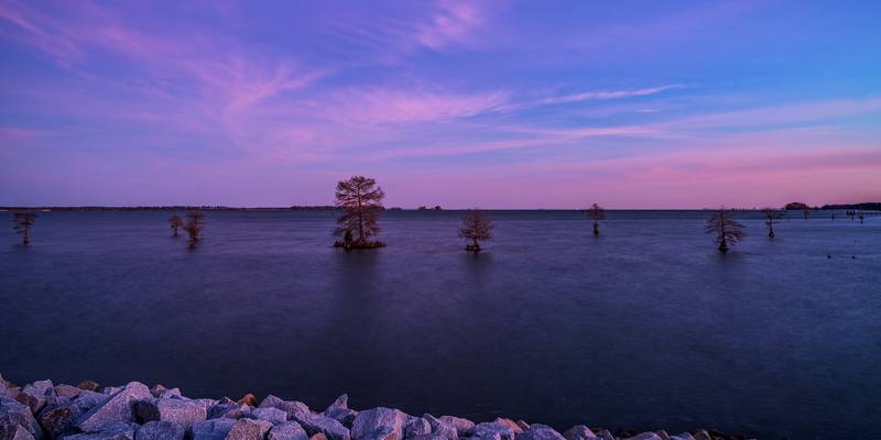 Cypress Grove Sunrise