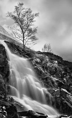 Waterfall and a Tree V.2