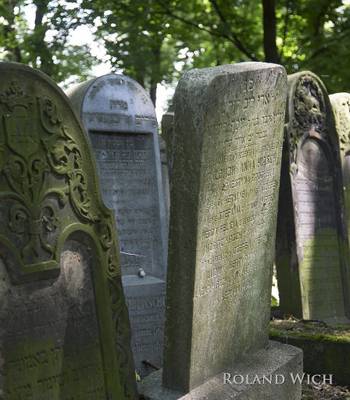 Kraków - Jewish Cemetery