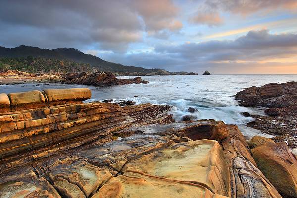 Bird Rock - Point Lobos, California