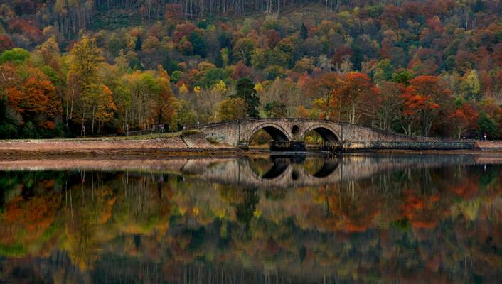 Fyne reflections