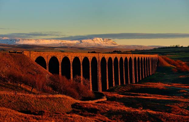 Ribblesdale gold