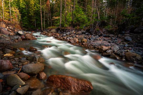 Rainier Flow